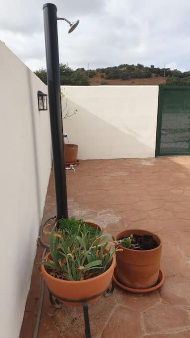 Casa La Hojiblanca Villa Mancha Real Eksteriør bilde